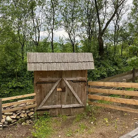 Casa Carolina Rosia Montana