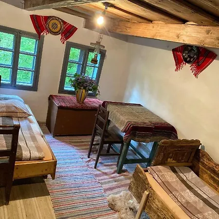 Case de vacanță Casa Carolina Rosia Montana