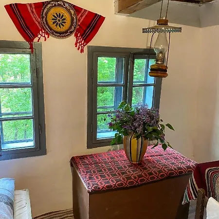 Casa Carolina Rosia Montana