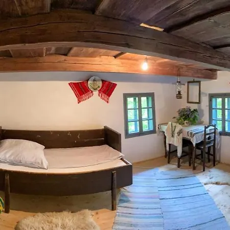 Casa Carolina Rosia Montana