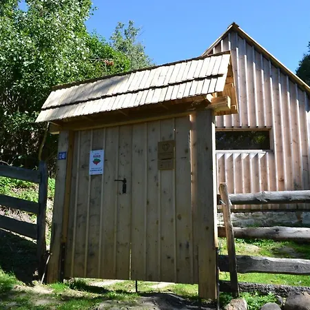 Casa Carolina Rosia Montana